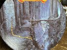 Entombed - Left Hand Path PicLP Death Metal Thrash Black Dismember Grave Morbid