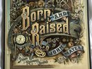 John Mayer - Born and Raised double LP-  Very Good condition
