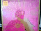 Darker My Love - s/t 2LP   Mint- 2006 pressing
