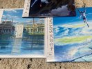 RADWIMPS Your Name, Weathering With You, Suzume no Tojimari  Vinyl Fedex DHL