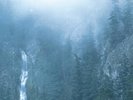 Wolves in the Throne Room - Diadem Of 12 Stars [New Vinyl LP]