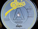 THE STRANGLERS -Paradise- Original UK  7” Promo (Vinyl Record)