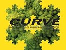 Curve - Faît Accompli Extended Mix (NEW 12