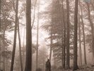 TAYLOR SWIFT FOLKLORE DOUBLE LP VINYL 2LP 'in the trees brown' vinyl in gatefold