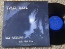PRIVATE 1978 MN Hard Rock Psych LP - RAY HARLOWE & GYP FOX 