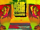 acid mothers temple ....paralyzed  genius brain orange vinyl 2lp rsd23