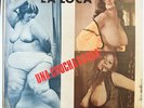 CHUCHA LA LOCA - Una Chucha Gorda - RARE PUERTO RICO LP  CHEESECAKE COVER