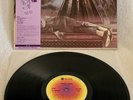 STEELY DAN 
