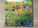 Jhene Aiko ‘Trip’ vinyl