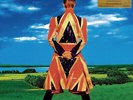 David Bowie - Earthling (Vinyl LP - 2013 - EU - Reissue)