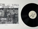 V/A *Mexican Rock & Roll Rumble & Psych-Out South of the Border* NM LP Santo
