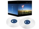 Pearl Jam RSD YIELD GIVE WAY CLEAR VINYL Record Ten Club Version Mint In Hand