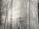 Taylor Swift - folklore (Beige 2 LP) (Vinyl)
