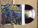 A Day To Remember All I Want 7” RSD clear PURPLE- SIGNED  RARE  Vinyl single ep