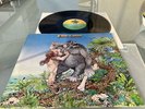 SAVOY BROWN LP SKIN N BONE H832