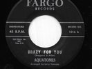 AQUATONES 45RPM '58 FARGO CRAZY FOR YOU KILLER DOO WOP BALLAD M- VINYL