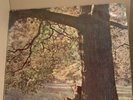 John Lennon Plastic Ono Band Vinyl UK First Pressing
