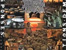 Brutal Truth Extreme Conditions Demand Extreme Responses - LP 33T