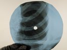 BOB DYLAN CORRINA CORRINA X-Ray USSR Record Roentgen Bones Ribs Music Vinyl