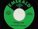 Northern Soul Garage Mod 45 - Dynamic Chessmen - Coming Home - Emerald VG+ rare