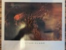Cocteau Twins – Victorialand LP EU207 683-620 (VG+/VG+)