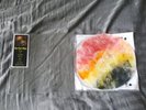 Great Electric Quest Chapter I vinyl record LP new Beers in Hell new cosmos