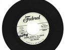 NORTHERNSOUL 45 RPM - THE ZIRCONS ON FEDERAL RECORDS 