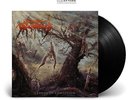 PHLEBOTOMIZED - Clouds Of Confusion [BLACK] (LP)