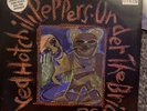 Red Hot Chili Pepper - Under The Bridge blue Vinyl ￼ limited edition
