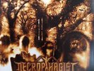 Necrophagist Epitaph - Custom Quad W/ Splatter Vinyl Used Vinyl LP
