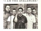 I AM THE AVALANCHE - Avalanche United - Vinyl (limited clear vinyl LP)