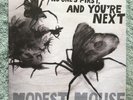 Modest Mouse, No One's First, and You're Next, LP Vinyl, 2009