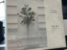 La Dispute - Tiny Dots, 	Vinyl, LP,  Club Edition, Limited Edition, Silver