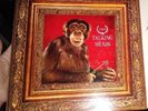 3 Talking Heads True Stories Album LP Record 1986 25512-1 Nude Catherine Wheel