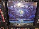 The Expendables - SAND IN THE SKY - Blue Marble Color Vinyl LP - NEW & SEALED