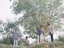 The Small Faces - There Are But Four Small Faces NEW Sealed Vinyl