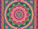 Grateful Dead - Boston Garden, Boston, MA5/7/77 5LP NEW RSD 2023