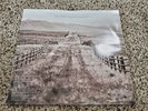 John Mayer - Paradise Valley  Record Album Vinyl LP READ Stratch