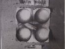 Satin Whale-Desert Places German prog lp reissue brand new