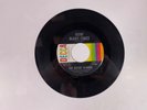 THE ROVIN' FLAMES How Many Times 45 Decca 32191 VG US 1967 ORIG