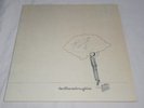 David Thomas Broughton The Complete Guide To Insufficiency 2019 Vinyl LP AS-NEW
