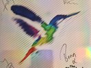 The Sherlocks - Live For The Moment Ltd Ed Splatter LP - Signed - 1st Pressing