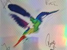 The Sherlocks - Live For The Moment Ltd Ed Splatter LP - Signed - 1st Pressing..