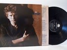 DON HENLEY (OF THE EAGLES) building the perfect beast LP EX+/EX, 924 026-1 vinyl