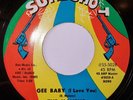 The Malibus Gee Baby I Love You Sure Shot Northern Soul Oldie