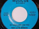 Porgy And The Monarchs My Heart Cries For You Musicor Demo Northern Soul Oldie