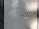 Bob Dylan - Great White Wonder   BEAUTIFUL COPY   Dupre Labels