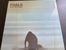 Foals What Went Down - Vinyl Box Set deluxe edition