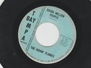 GARAGE ROCKERS 45 - ROVIN' FLAMES - SEVEN MILLION PEOPLE - HEAR- 1966 TAMPA BAY