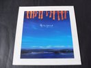 Paul McCartney - Off The Ground 1993 UK LP PARLOPHONE/MPL 1st